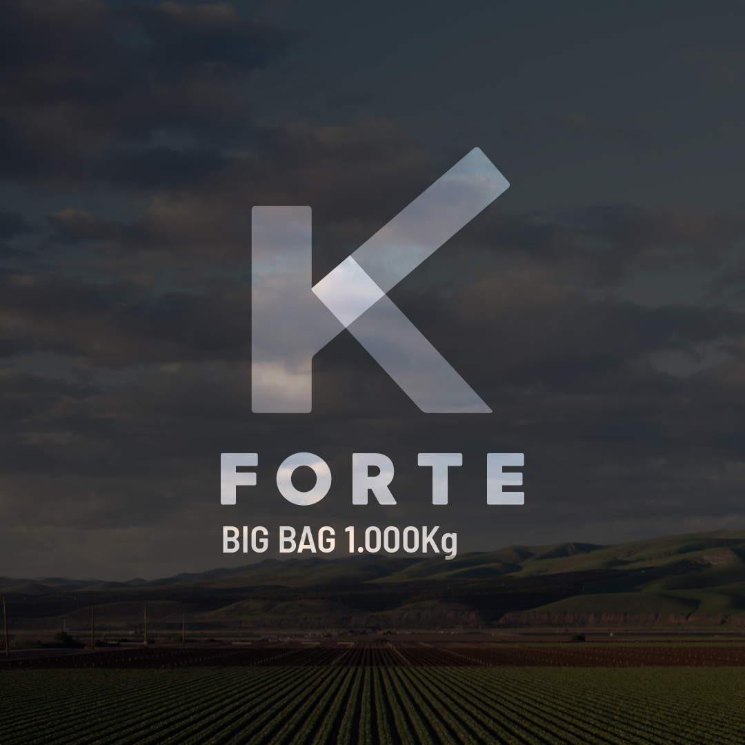 K Forte - Big bag - 0